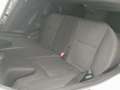 Suzuki Swift (2010-2017) 1.2 VVT 5 porte L Alb - thumbnail 11