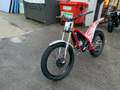 Gas Gas TXT 300 Racing Modell 2022 Rood - thumbnail 3