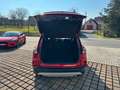 Ford Kuga Plug-In Hybrid Titanium X Benzin Sparbüchse Rot - thumbnail 11