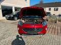 Ford Kuga Plug-In Hybrid Titanium X Benzin Sparbüchse Rot - thumbnail 14