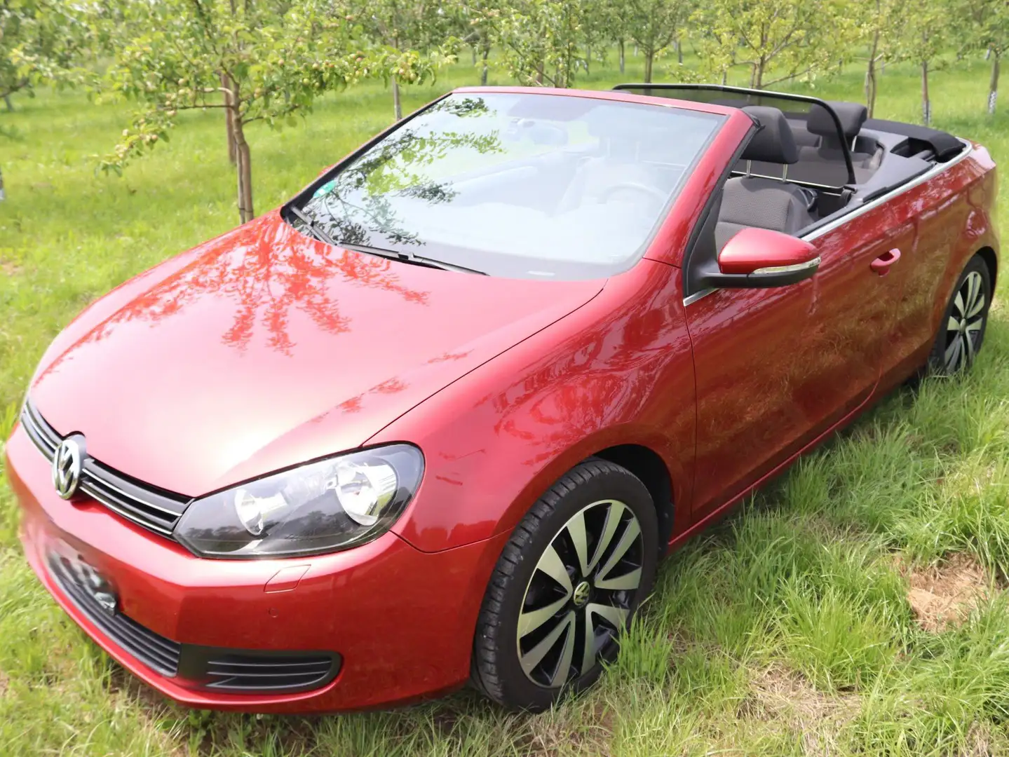 Volkswagen Golf Cabriolet Golf VI Cabrio Cabrio 1.2 TSI Red - 1
