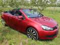 Volkswagen Golf Cabriolet Golf VI Cabrio Cabrio 1.2 TSI Red - thumbnail 5
