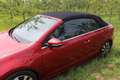 Volkswagen Golf Cabriolet Golf VI Cabrio Cabrio 1.2 TSI Red - thumbnail 7