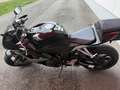 Honda CBR 600 - thumbnail 5