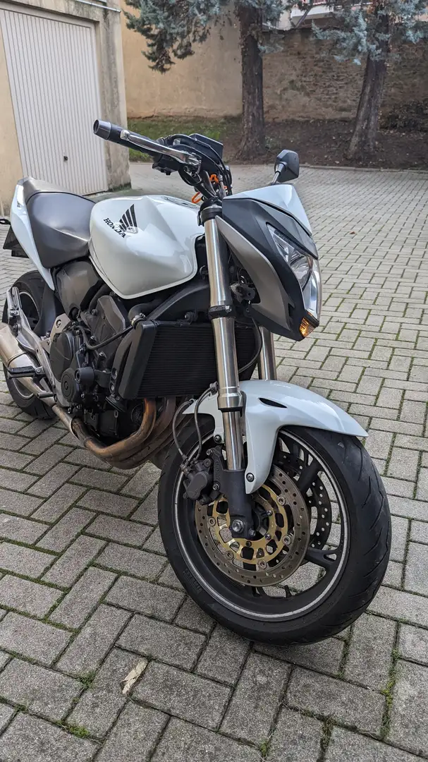Honda Hornet 600 Bianco - 1