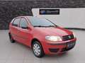Fiat Punto Punto 1,2 Geprüftes Fahrzeug Rot - thumbnail 7