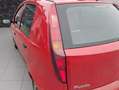 Fiat Punto Punto 1,2 Geprüftes Fahrzeug Rot - thumbnail 10