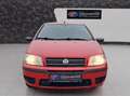 Fiat Punto Punto 1,2 Geprüftes Fahrzeug Rot - thumbnail 8