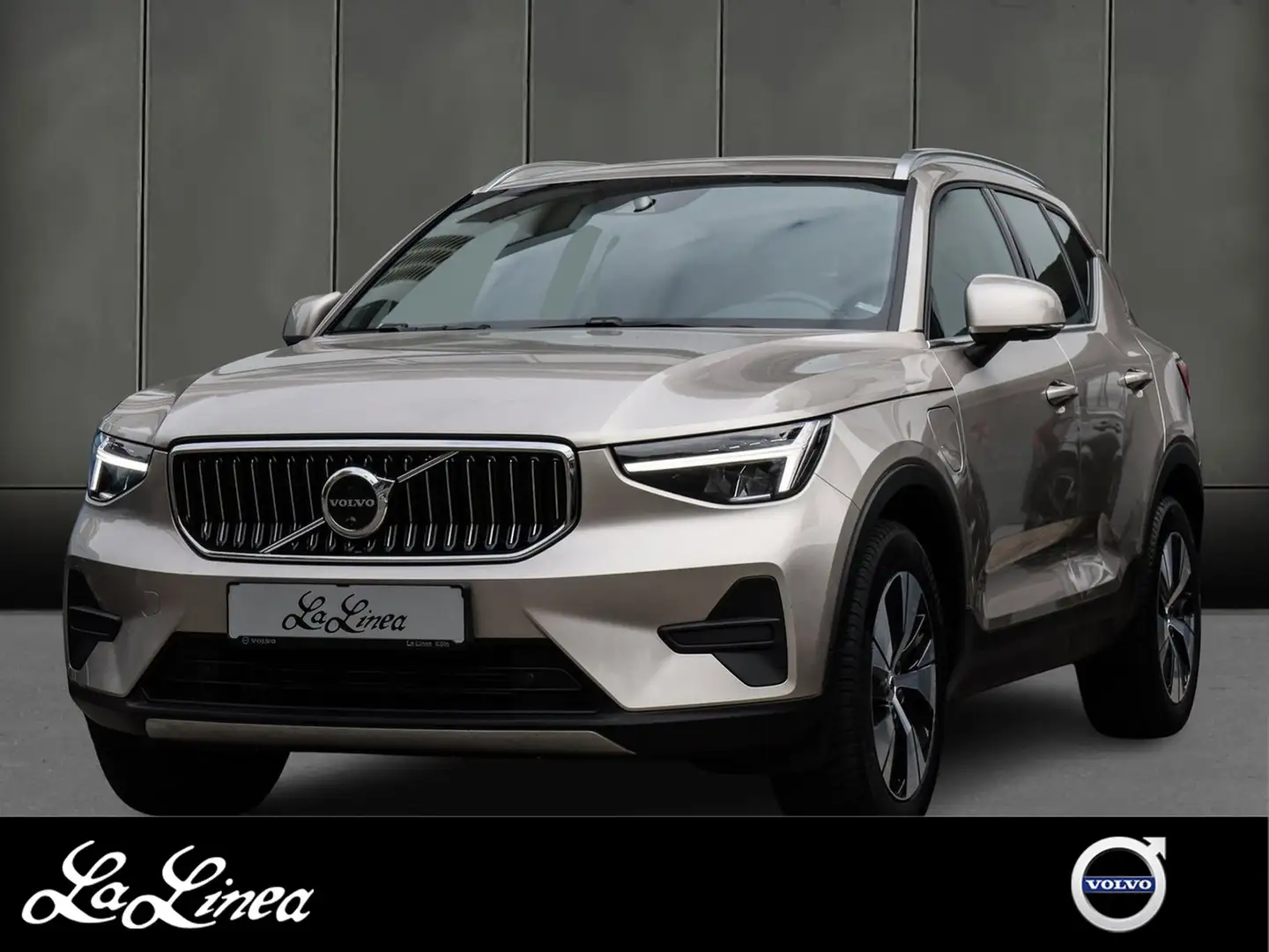 Volvo XC40 T4 Recharge Plus Bright #Fahrerassistenz#360 Gr... Beige - 1