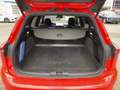 Ford Focus Turnier ST-Line X SYNC 4|Kamera|ACC|Navi Rojo - thumbnail 22