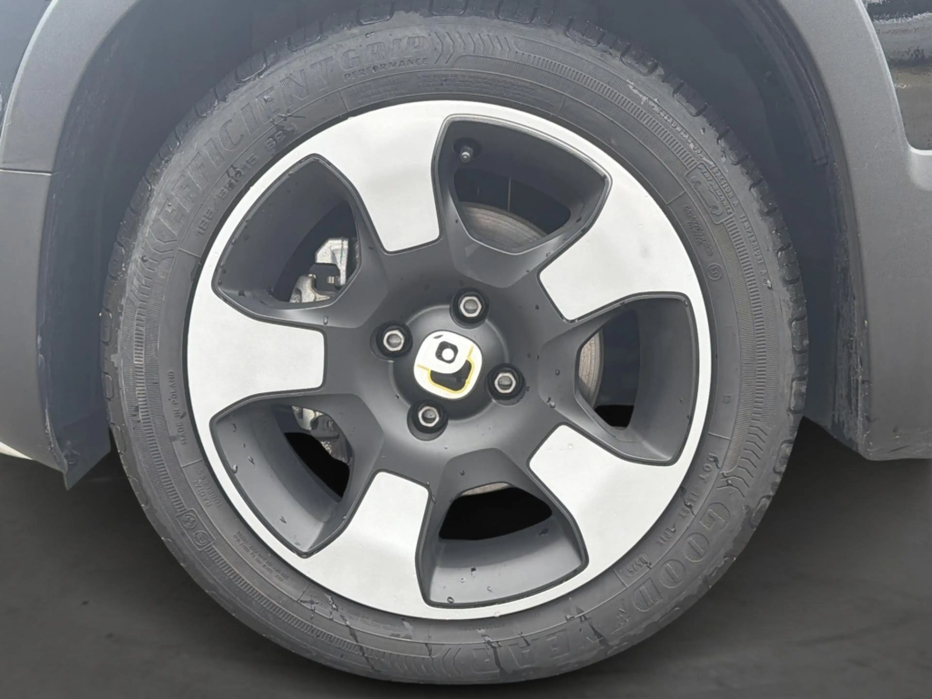 Fiat Panda Pandina 1.0 Hybrid Cross | Android Auto | Parkeers — photo 28
