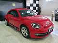 Volkswagen Beetle 2.0TDI Sport DSG 140 Rojo - thumbnail 2