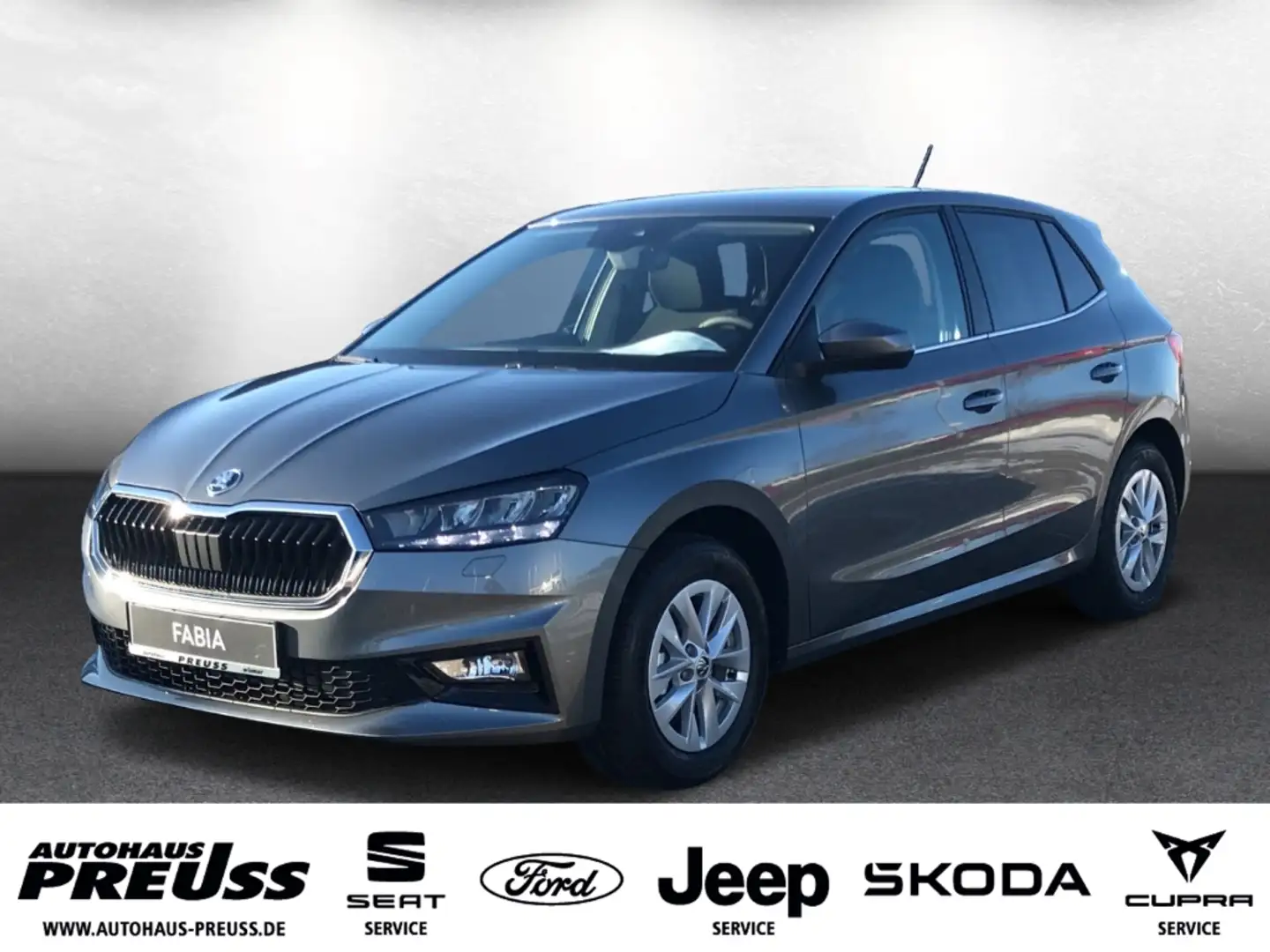 Skoda Fabia Selection 1,0 TSI Grau - 1