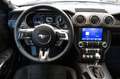 Ford Mustang Cabrio California V8 Aut., MAGNE RIDE Grau - thumbnail 23