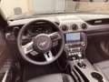 Ford Mustang Convertible 5.0 Ti-VCT V8 GT - thumbnail 5