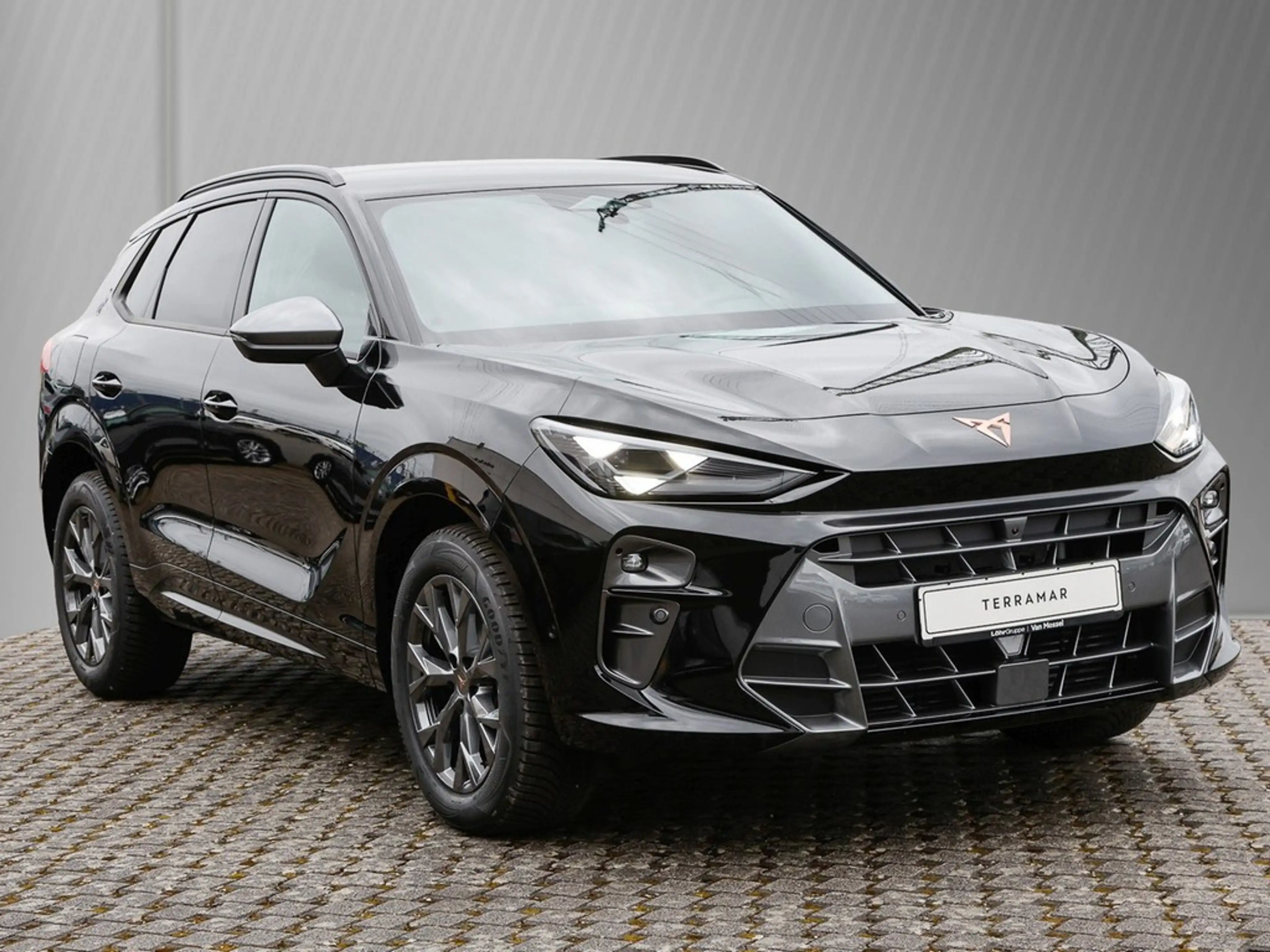 CUPRA Terramar 1.5 eTSI 110kW/150PS 7-Gang-DSG — photo 3