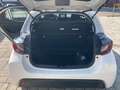 Toyota Yaris Yaris IV 2020 1.0 Business Bianco - thumbnail 10