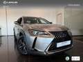 Lexus UX 250h Business 2WD Plateado - thumbnail 11