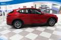 Alfa Romeo Stelvio 2.0 t super Q4 200 CV auto my19 Rot - thumbnail 7