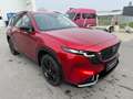 Mazda CX-5 2.5L G 141ps 6AT AWD HOMURA PANO BLOP Voll Rot - thumbnail 4