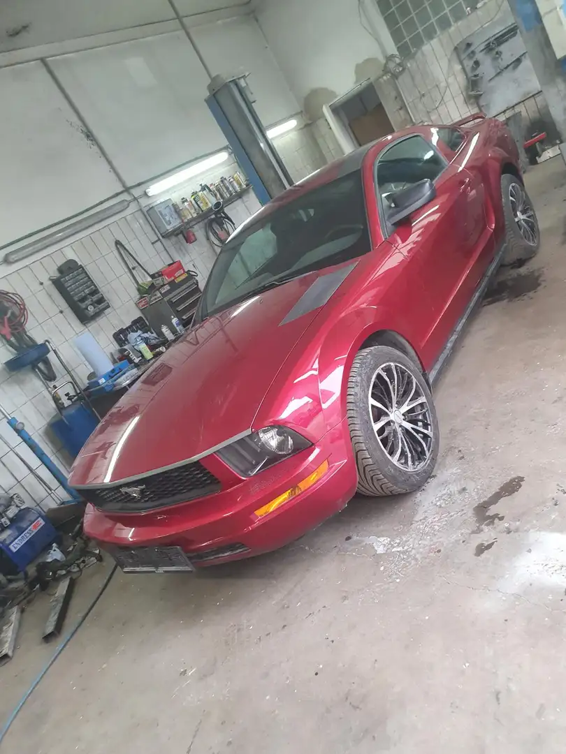 Ford Mustang Rot - 1