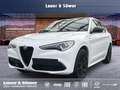 Alfa Romeo Stelvio VELOCE Weiß - thumbnail 1