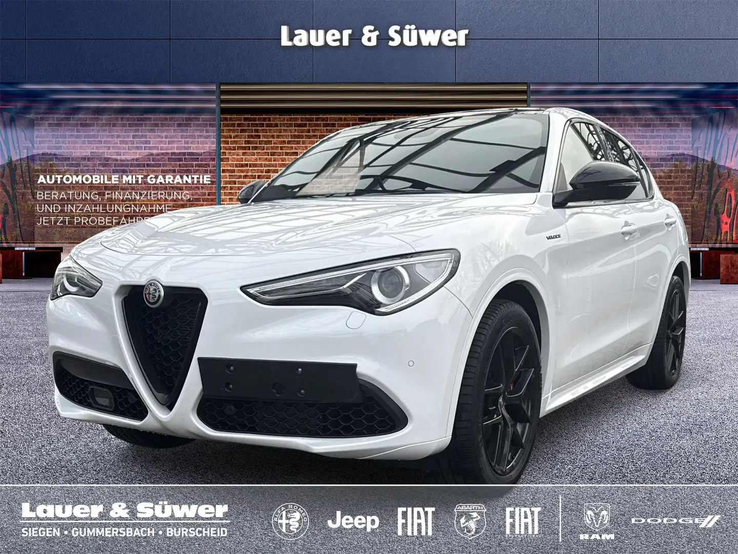 Alfa Romeo Stelvio VELOCE Weiß - 1