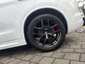 Alfa Romeo Stelvio VELOCE Weiß - thumbnail 13