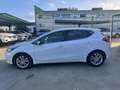 Kia Ceed / cee'd 1.4CRDi Drive Weiß - thumbnail 4