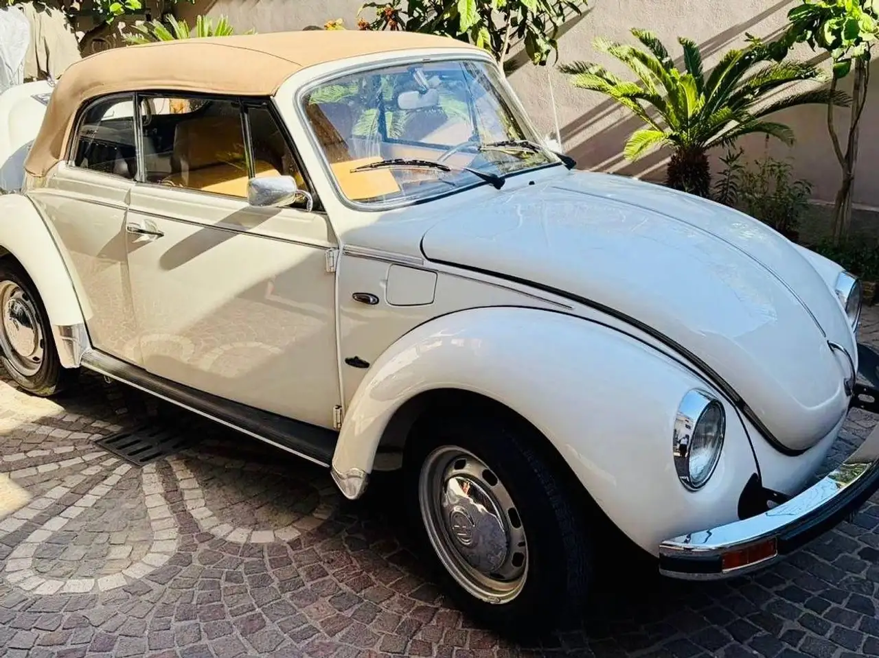 Volkswagen Maggiolone, foto 5