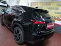 Lexus NX 300 300h F Luxury 4WD Negro - thumbnail 30