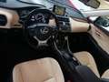 Lexus NX 300 300h F Luxury 4WD Negro - thumbnail 17