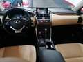 Lexus NX 300 300h F Luxury 4WD Negro - thumbnail 22