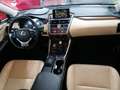 Lexus NX 300 300h F Luxury 4WD Negro - thumbnail 38