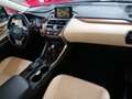 Lexus NX 300 300h F Luxury 4WD Negro - thumbnail 39