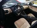 Lexus NX 300 300h F Luxury 4WD Negro - thumbnail 13