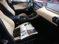 Lexus NX 300 300h F Luxury 4WD Negro - thumbnail 43