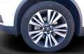 Renault Koleos II 2.0BLUEdCi185 Initiale Paris 4WD (EU 6d) Weiß - thumbnail 7