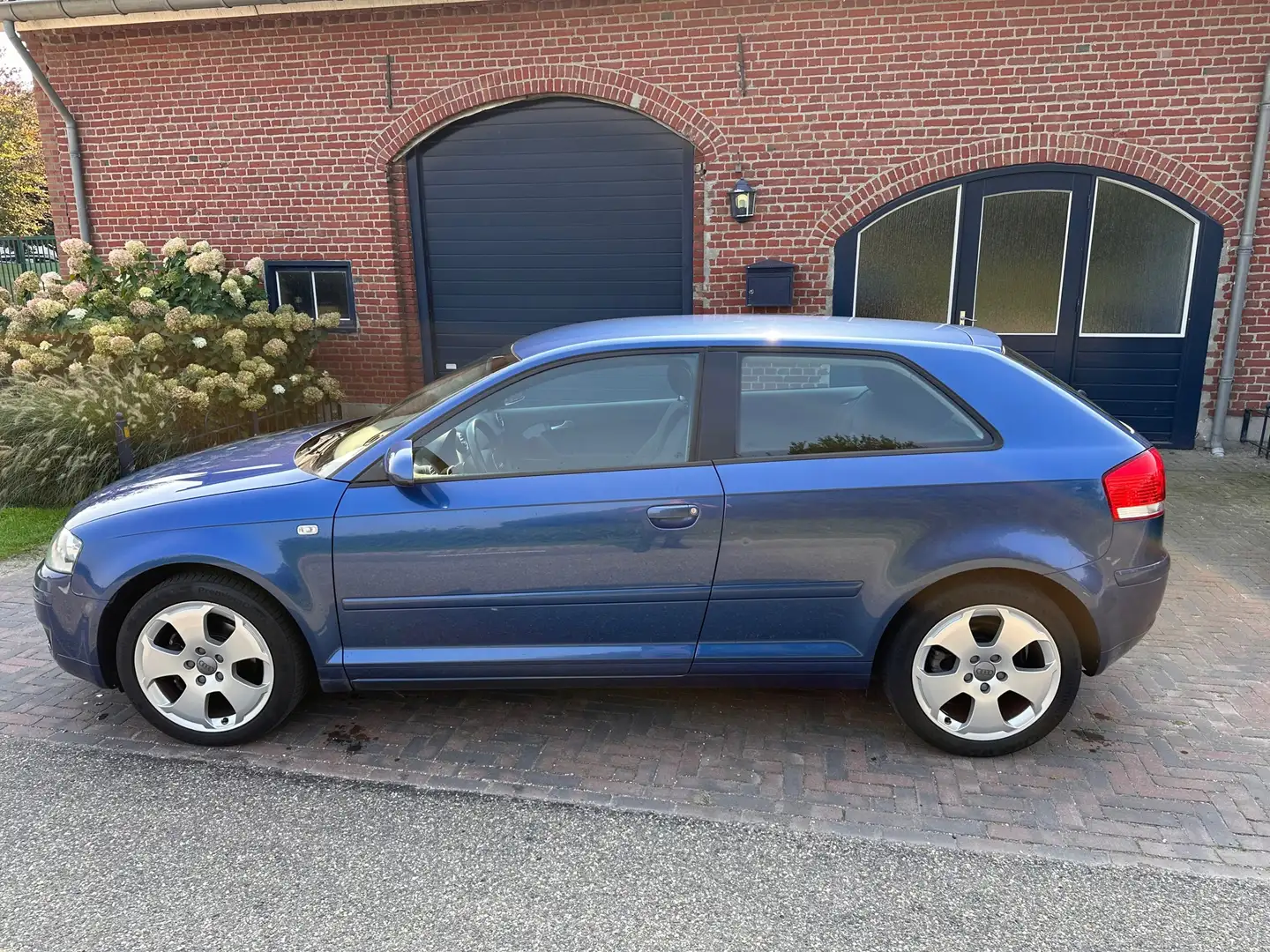 Audi A3 1.6 FSI Ambition Nieuwe APK bij aflevering Blu/Azzurro - 2