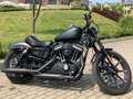 Harley-Davidson Sportster XL 883 iron Schwarz - thumbnail 6