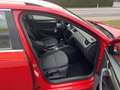 Skoda Octavia Combi 1,6 Ambition Limited TDI 4x4 Arbö Pickerl... Rot - thumbnail 9