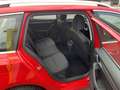 Skoda Octavia Combi 1,6 Ambition Limited TDI 4x4 Arbö Pickerl... Rot - thumbnail 10