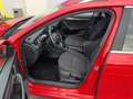 Skoda Octavia Combi 1,6 Ambition Limited TDI 4x4 Arbö Pickerl... Rot - thumbnail 13