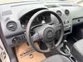 Volkswagen Caddy Kastenwagen Entry+ 1,6 TDI *Klima* Weiß - thumbnail 8