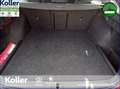 Skoda Octavia Octavia Combi 1.4 TSI iV DSG Navi Kamera ACC Rot - thumbnail 9