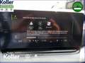 Skoda Octavia Octavia Combi 1.4 TSI iV DSG Navi Kamera ACC Rot - thumbnail 15