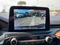 Ford Kuga Kuga 2.0 ecoblue ST-LineXDesign 2wd 120cv aut Noir - thumbnail 16