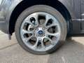 Ford EcoSport Titanium /Xenon/Garantie/RFK/Allwetter Grau - thumbnail 9