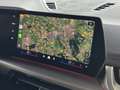 BMW X1 XDRIVE 25E M-SPORT LED ELEK.KLEP NAVI STOELVERW M- Gris - thumbnail 41