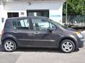 Renault Modus Privilege Klima PDC Braun - thumbnail 4